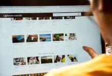 nextgen digital framework online