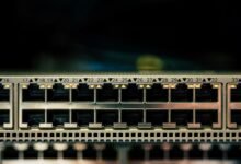 creative digital network identifier 8556482575